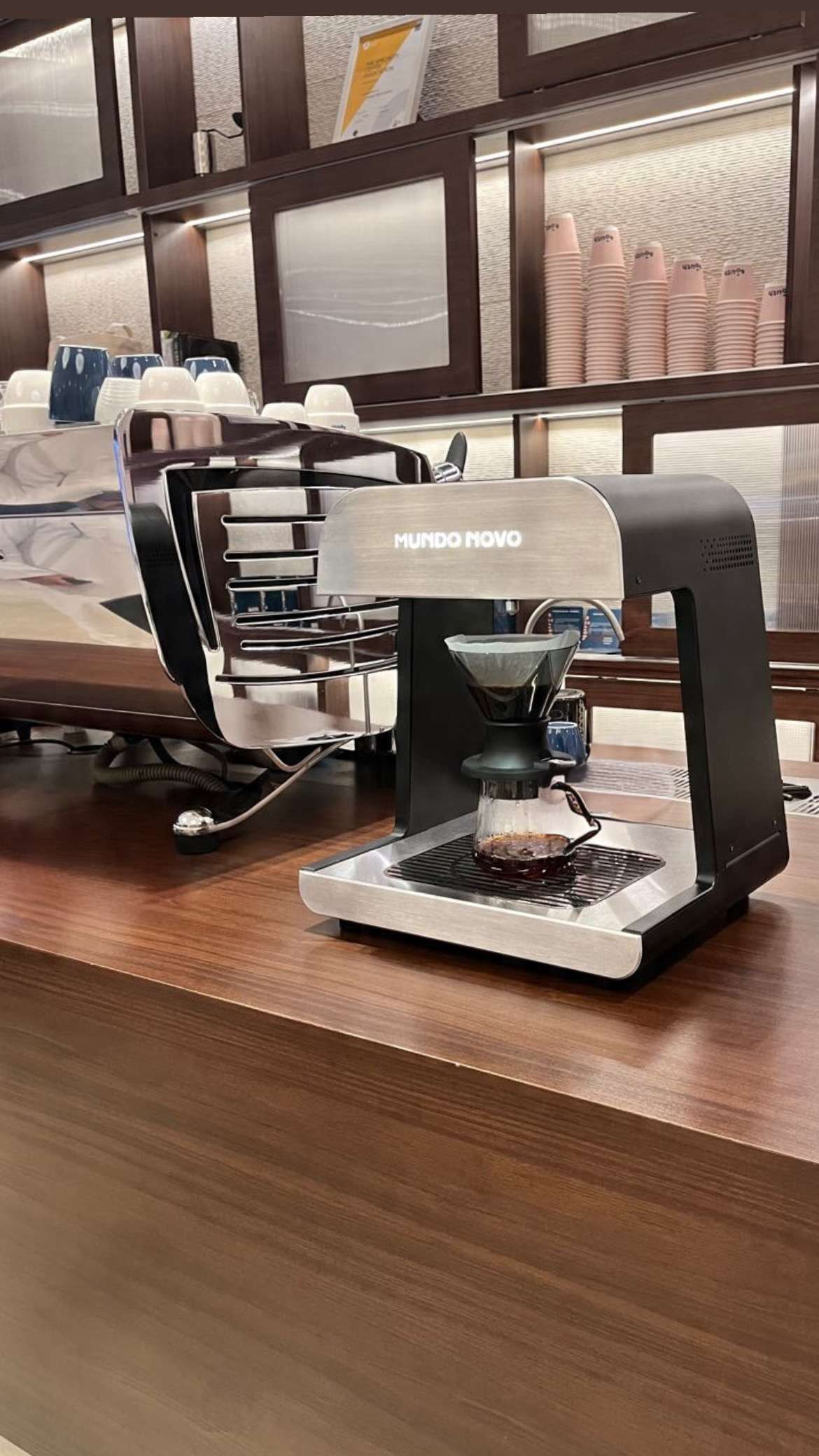 Mundo Novo Black - Image 2